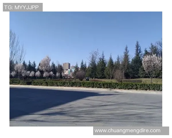 体育明星背后的故事与成就全解析，探索他们的奋斗历程与人生轨迹