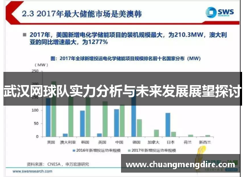 武汉网球队实力分析与未来发展展望探讨